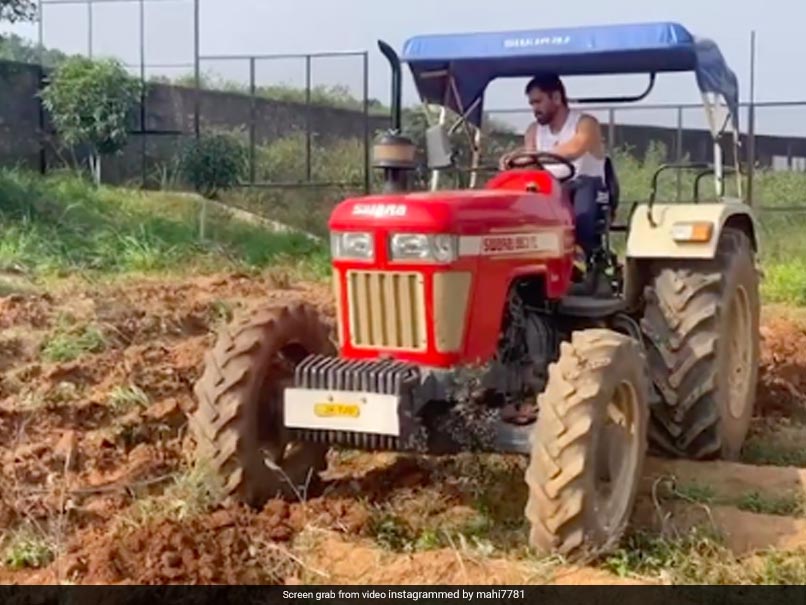 “No Number Plate”: Ravindra Jadeja Pokes MS Dhoni On Driving Tractor. Fans Amused